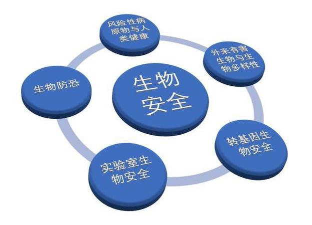 生物技术开发的欧盟生态 构建面向未来的创新链